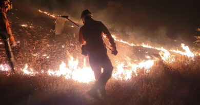 Bombeiros combatem mais três incêndios neste domingo